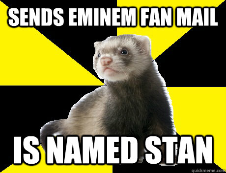 sends eminem fan mail is named stan  Fanboy Ferret