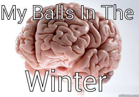 MY BALLS IN THE  WINTER Scumbag Brain