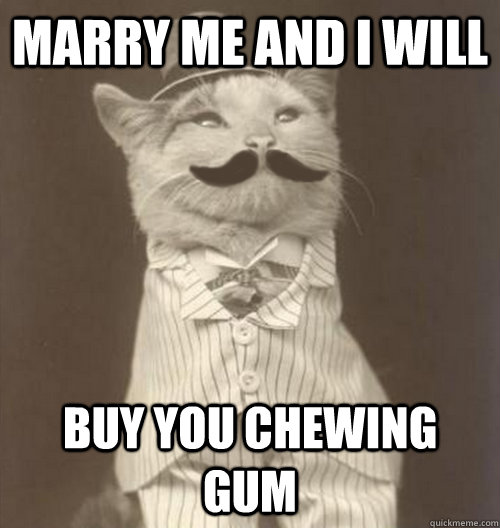 marry me and i will buy you chewing gum  Original Business Cat