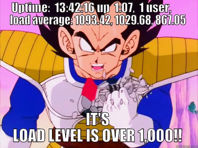 UPTIME:  13:42:16 UP  1:07,  1 USER,       LOAD AVERAGE: 1093.42, 1029.68, 867.05 IT'S LOAD LEVEL IS OVER 1,000!! Misc