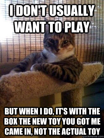 I don't usually want to play but when I do, it's with the box the new toy you got me came in, not the actual toy  The Most Interesting Cat in the World