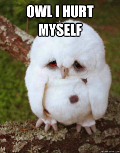 owl I hurt myself   Depressed Baby Owl