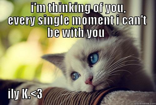              I'M THINKING OF YOU,             EVERY SINGLE MOMENT I CAN'T BE WITH YOU  ILY K.<3                                                     First World Problems Cat