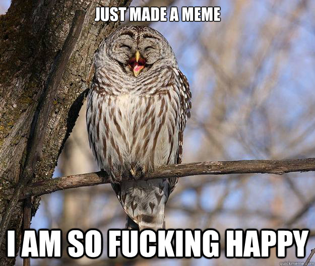 Just made a meme I AM SO FUCKING HAPPY - Just made a meme I AM SO FUCKING HAPPY  Happy owl