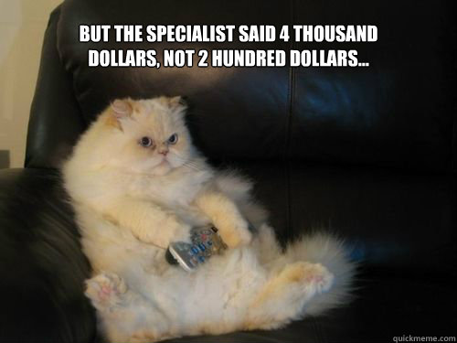But the specialist said 4 thousand dollars, not 2 hundred dollars...  Disapproving TV Cat