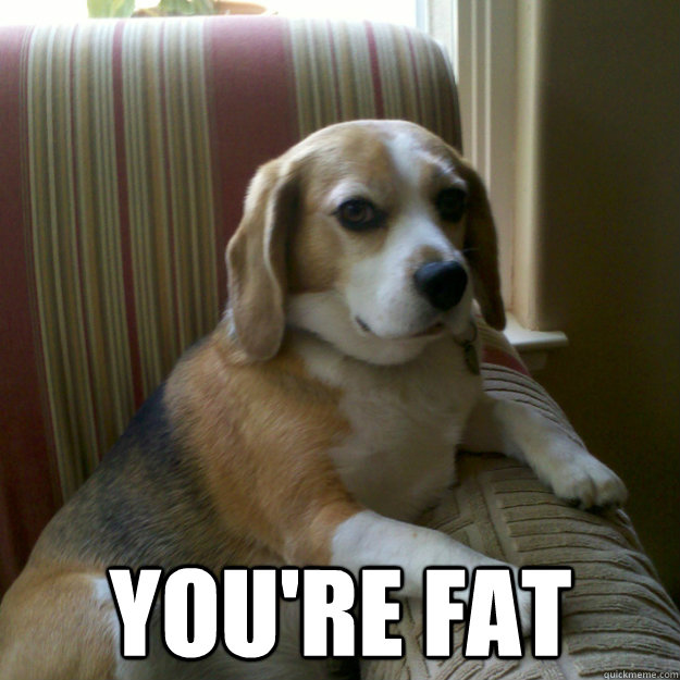  You're fat -  You're fat  judgmental dog