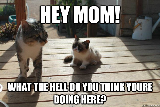 hey mom! what the hell do you think youre doing here? - hey mom! what the hell do you think youre doing here?  Misc