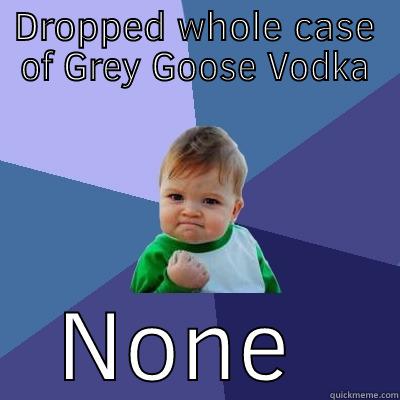 No Break - DROPPED WHOLE CASE OF GREY GOOSE VODKA NONE BROKE Success Kid