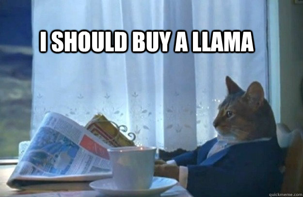 I should buy a llama  Sophisticated Cat