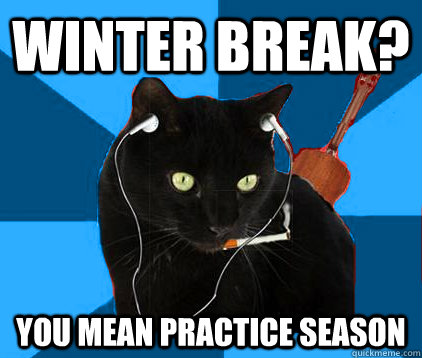 Winter break? you mean practice season - Winter break? you mean practice season  Socially Awkward Berklee Cat