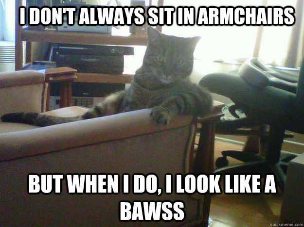 I don't always sit in armchairs But when I do, I look like a Bawss  Most interesting cat in the world