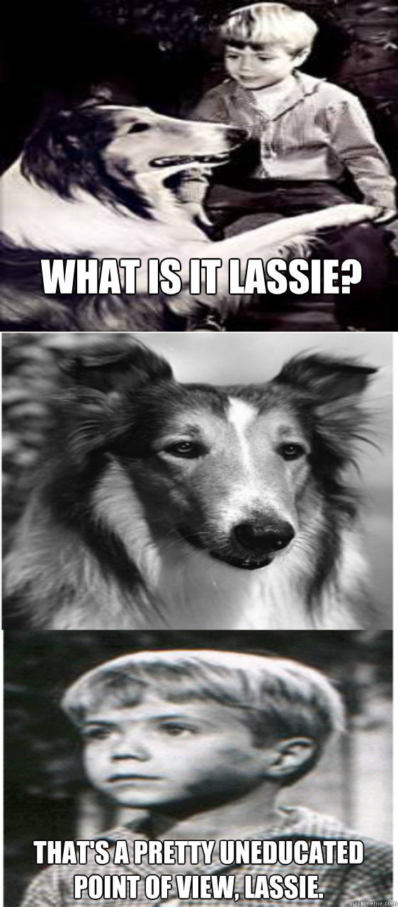 What Is It Lassie Thats A Pretty Uneducated Point Of View Lassie