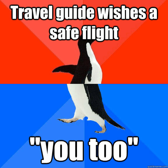 Travel guide wishes a safe flight 