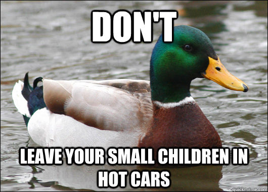 Don't Leave your small children in hot cars  Actual Advice Mallard