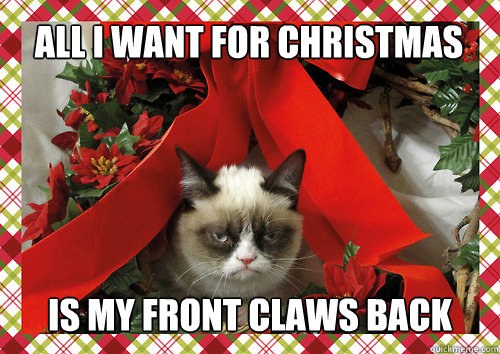 All I want for Christmas is my front claws back  merry christmas