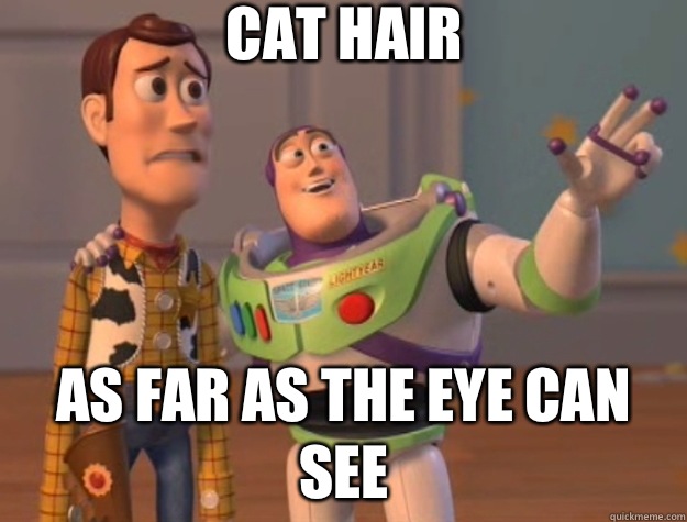 Cat hair as far as the eye can see  Toy Story