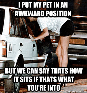 I put my pet in an awkward position but we can say thats how it sits if thats what you're into  Karma Whore
