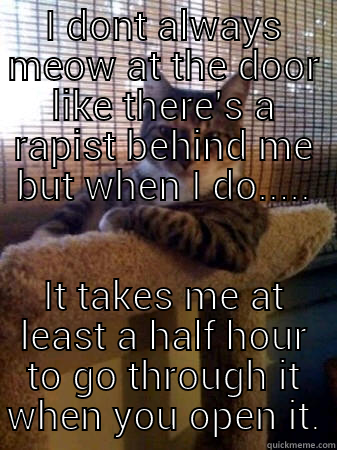 Crazy Cat - I DONT ALWAYS MEOW AT THE DOOR LIKE THERE'S A RAPIST BEHIND ME BUT WHEN I DO..... IT TAKES ME AT LEAST A HALF HOUR TO GO THROUGH IT WHEN YOU OPEN IT. The Most Interesting Cat in the World
