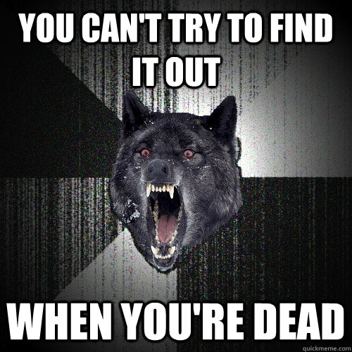you can't try to find it out when you're dead  Insanity Wolf