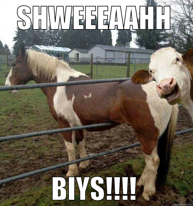 SHWEEEAAHH BIYS!!!! Misc