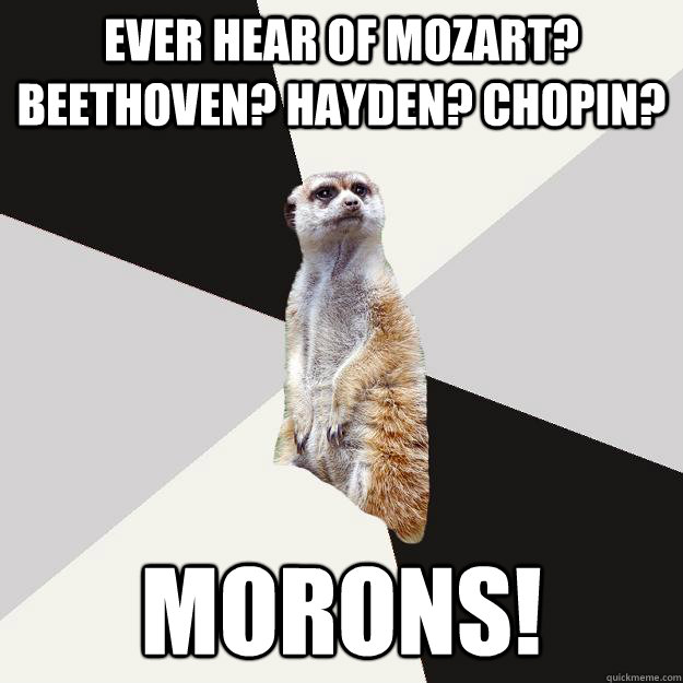 Ever hear of Mozart? Beethoven? Hayden? Chopin? MORONS!  Musically inclined meerkat