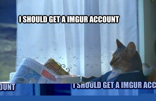 I should get a imgur account  Sophisticated Cat