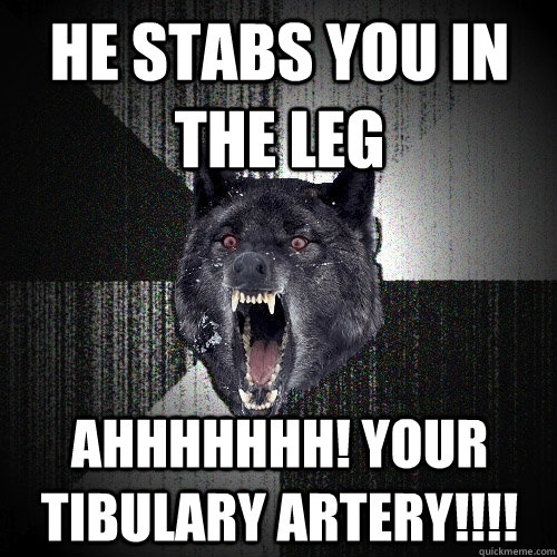 he stabs you in the leg AHHHHHHH! YOUR TIBULARY ARTERY!!!!  Insanity Wolf