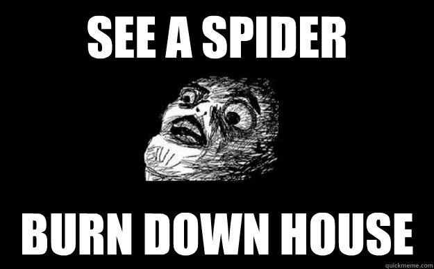 See a spider burn down house  