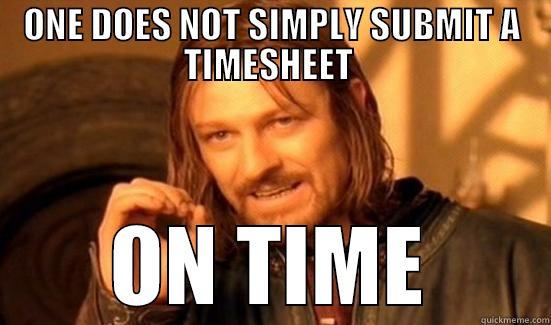 ONE DOES NOT SIMPLY SUBMIT A TIMESHEET  ON TIME Boromir