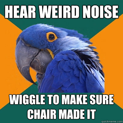 Hear weird noise wiggle to make sure chair made it  Paranoid Parrot
