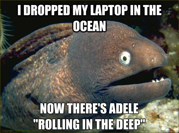 I dropped my laptop in the ocean now there's adele 
