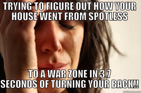 TRYING TO FIGURE OUT HOW YOUR HOUSE WENT FROM SPOTLESS TO A WAR ZONE IN 3.7 SECONDS OF TURNING YOUR BACK!! First World Problems