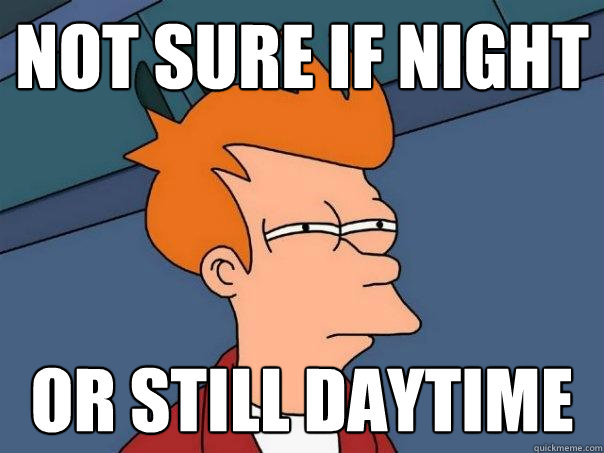 Not sure if night Or still daytime  Futurama Fry