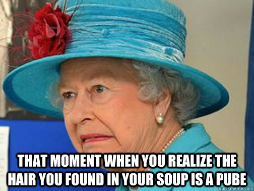  That moment when you realize the hair you found in your soup is a pube -  That moment when you realize the hair you found in your soup is a pube  Horrified Queen Elizabeth