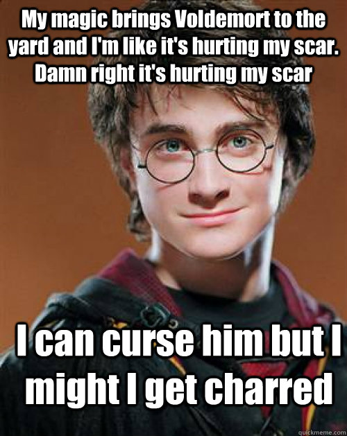 My magic brings Voldemort to the yard and I'm like it's hurting my scar. Damn right it's hurting my scar I can curse him but I might I get charred  