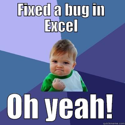 FIXED A BUG IN EXCEL OH YEAH! Success Kid