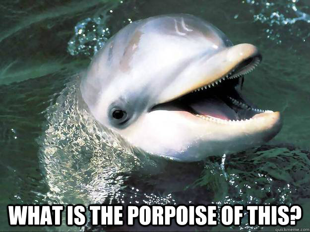  What is the porpoise of this?  