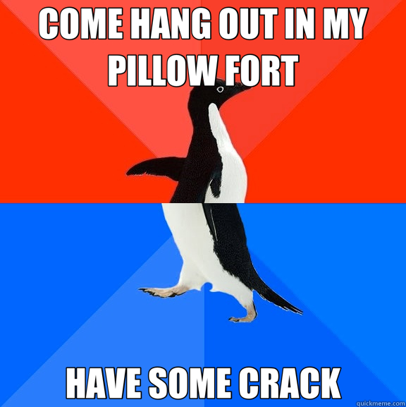 COME HANG OUT IN MY PILLOW FORT HAVE SOME CRACK  Socially Awesome Awkward Penguin