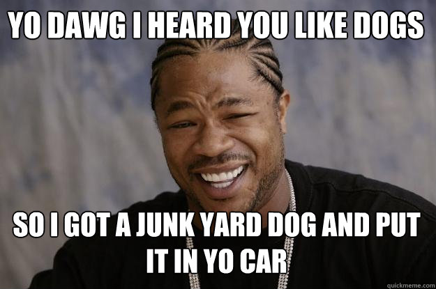 Yo dawg I heard you like dogs  So I got a junk yard dog and put it in yo car  Xzibit meme
