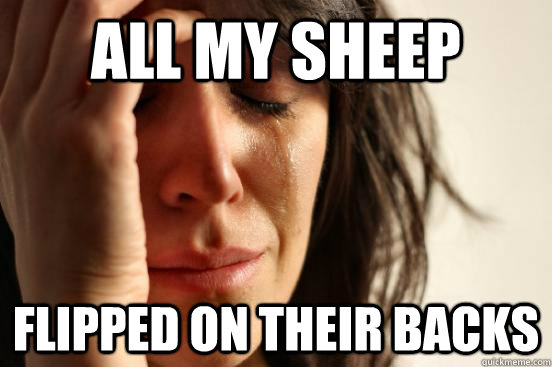 All my sheep flipped on their backs  First World Problems