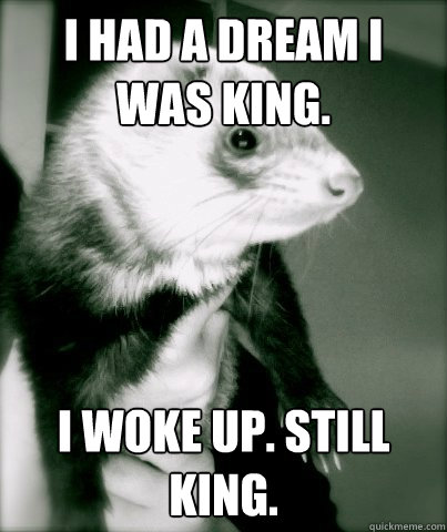i had a dream i was king. i woke up. still king.   
