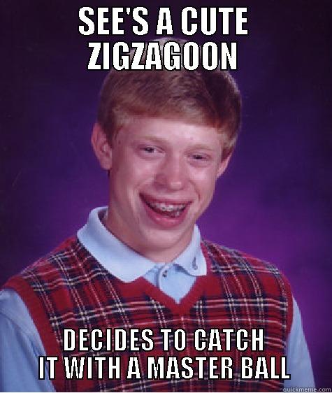 SEE'S A CUTE ZIGZAGOON DECIDES TO CATCH IT WITH A MASTER BALL Bad Luck Brian