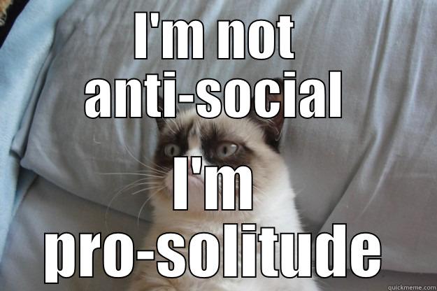 Hermit Cat - I'M NOT ANTI-SOCIAL I'M PRO-SOLITUDE Grumpy Cat