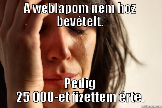 A WEBLAPOM NEM HOZ BEVÉTELT. PEDIG 25 000-ET FIZETTEM ÉRTE. First World Problems