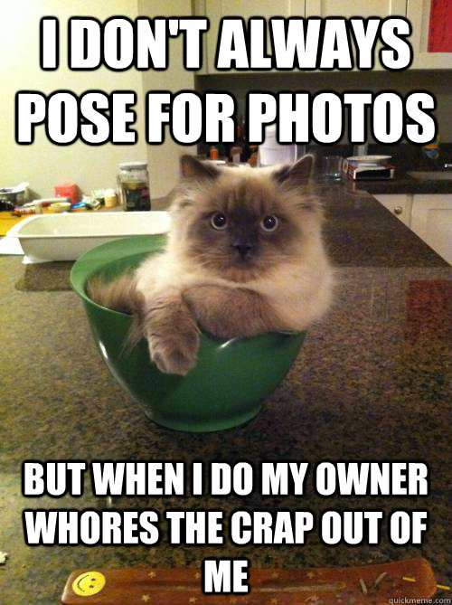 I don't always pose for photos but when I do my owner whores the crap out of me  