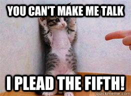You can't make me talk I plead the fifth!  Wat i do