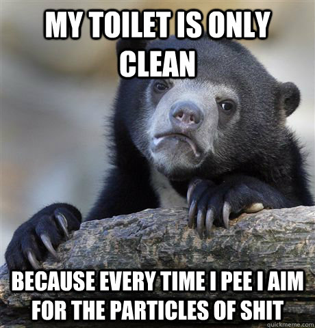 My toilet is only clean  Because every time i pee i aim for the particles of shit  Confession Bear