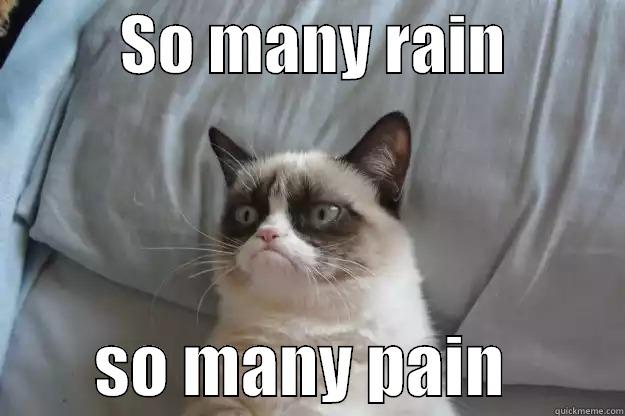 So many rain, so many pain -          SO MANY RAIN                  SO MANY PAIN         Grumpy Cat