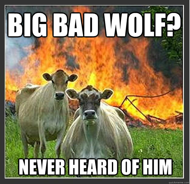 big bad wolf? never heard of him  Evil cows