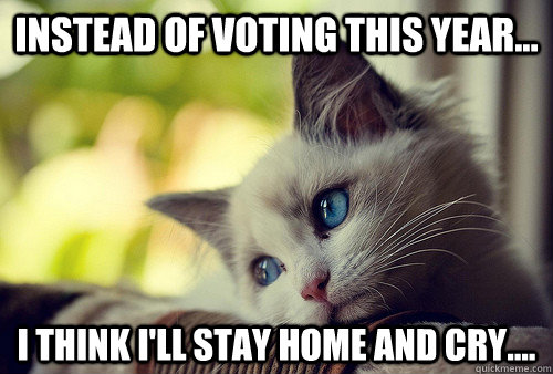 INSTEAD OF VOTING THIS YEAR... I THINK I'LL STAY HOME AND CRY....  First World Problems Cat